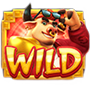 Wild